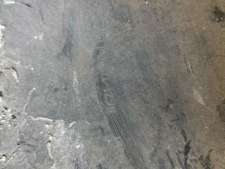 bontott FORD TRANSIT Jobb hátsó Lökhárító Sarok (Műanyag)