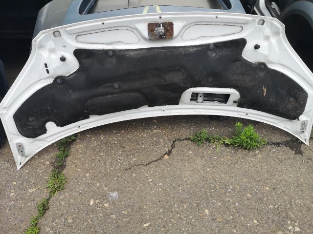 bontott FORD TRANSIT Motorháztető