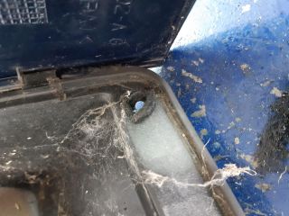 bontott FORD TRANSIT Tankajtó