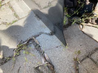 bontott HONDA ACCORD Bal első Ajtó (Üres lemez)