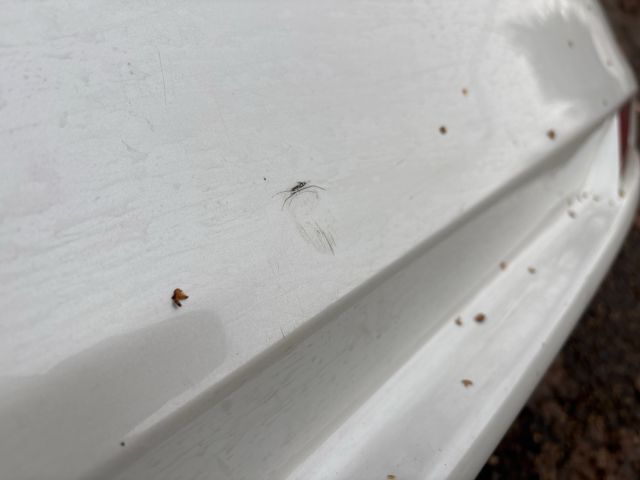 bontott HONDA CIVIC IX Hátsó Lökhárító (Részeivel)