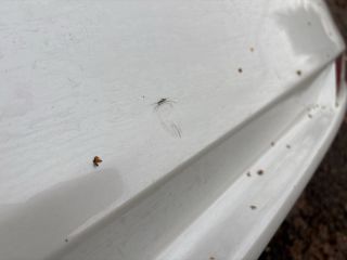 bontott HONDA CIVIC IX Hátsó Lökhárító (Részeivel)