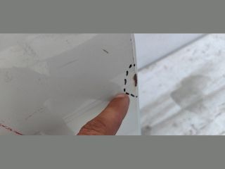 bontott HONDA CIVIC IX Jobb hátsó Ajtó (Üres lemez)