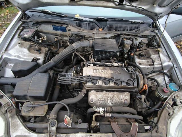 bontott HONDA CIVIC VI Homlokfal (Üres lemez)