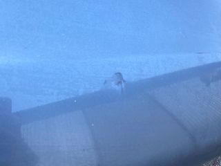 bontott HONDA CIVIC VII Hátsó Lökhárító (Részeivel)