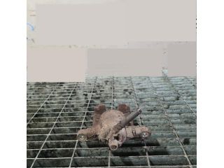 bontott HONDA CR-V Jobb hátsó Fékkengyel