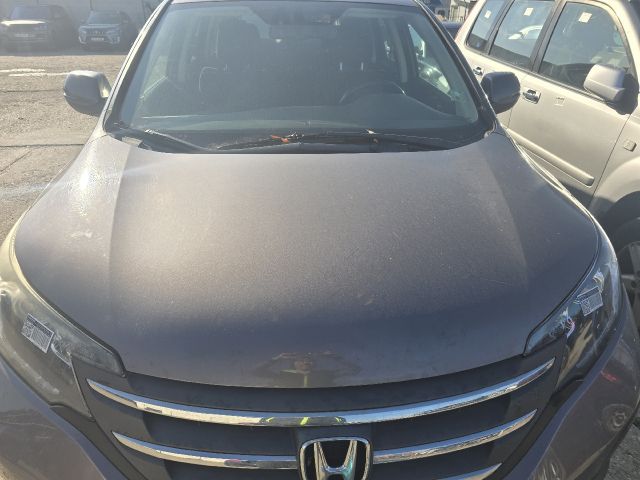 bontott HONDA CR-V Motorháztető