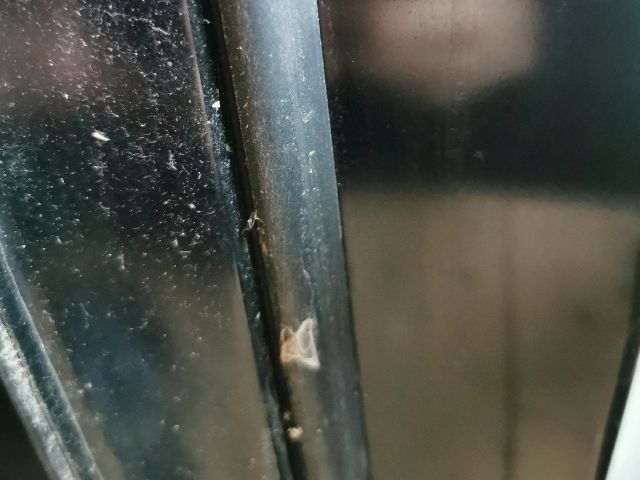 bontott HONDA FR-V Bal hátsó Ajtó (Üres lemez)