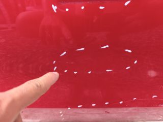 bontott HONDA JAZZ Jobb első Ajtó (Üres lemez)