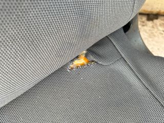 bontott HONDA JAZZ Jobb hátsó Ülés