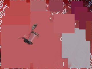 bontott HYUNDAI ACCENT EGR / AGR Szelep