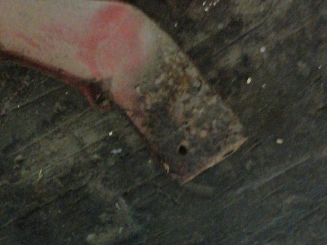 bontott HYUNDAI GETZ Jobb első Sárvédő