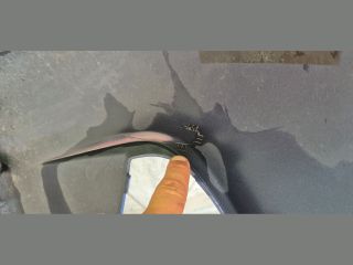 bontott HYUNDAI i10 Első Lökhárító (Üresen)