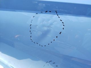 bontott HYUNDAI i20 III Bal hátsó Ajtó (Üres lemez)