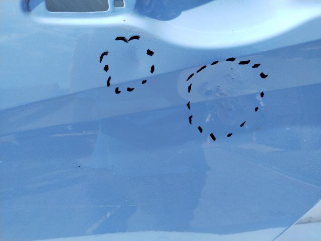 bontott HYUNDAI i20 III Bal hátsó Ajtó (Üres lemez)