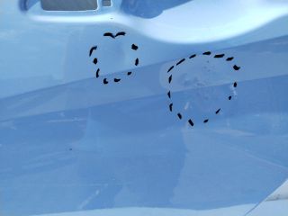 bontott HYUNDAI i20 III Bal hátsó Ajtó (Üres lemez)