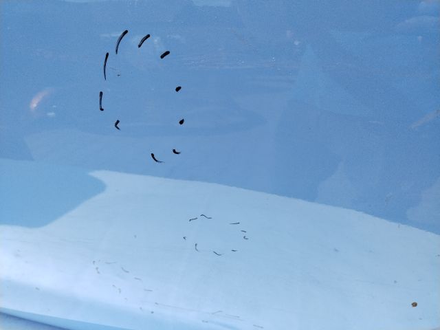 bontott HYUNDAI i20 III Bal hátsó Ajtó (Üres lemez)