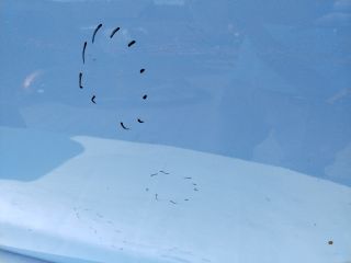 bontott HYUNDAI i20 III Bal hátsó Ajtó (Üres lemez)