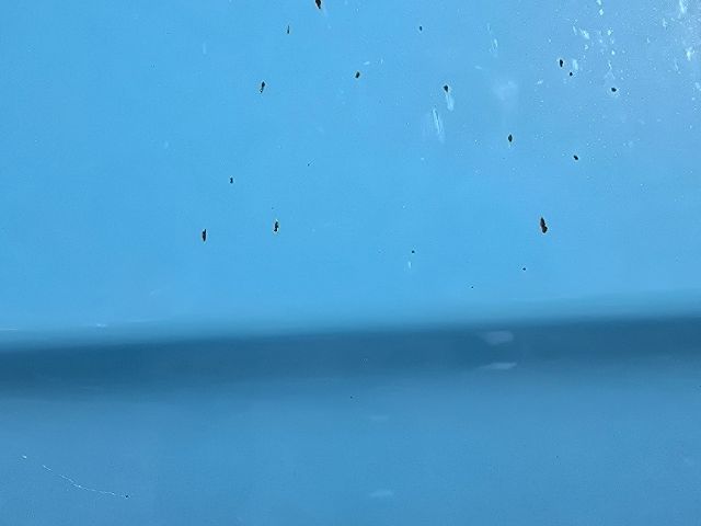 bontott HYUNDAI i20 Jobb első Ajtó (Üres lemez)