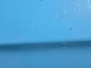 bontott HYUNDAI i20 Jobb első Ajtó (Üres lemez)