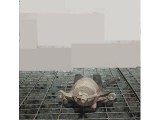 bontott HYUNDAI ix35 Bal első Fékkengyel