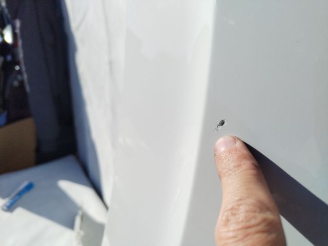 bontott HYUNDAI STARIA Bal első Sárvédő