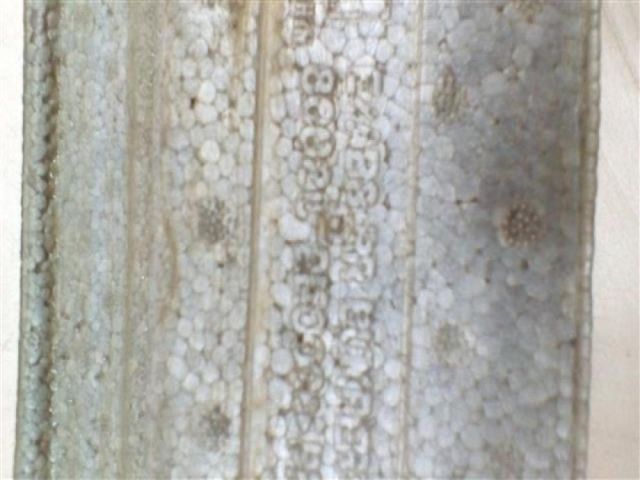 bontott HYUNDAI TUCSON Hátsó Lökhárító Ütközés Elnyelő Hab