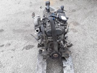 bontott IVECO DAILY Motor (Fűzött blokk hengerfejjel)