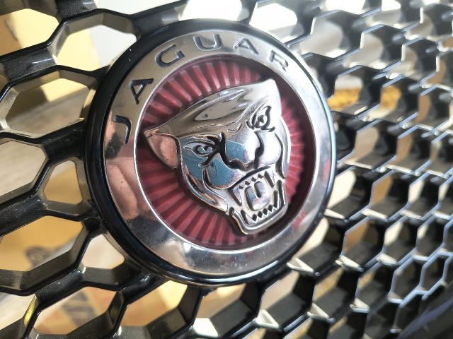 bontott JAGUAR 2.0d (163 Hp) Első Embléma