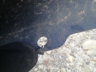 bontott JAGUAR S-TYPE Első Lökhárító (Üresen)