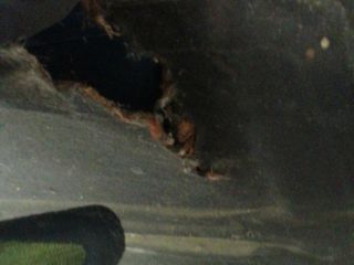 bontott JAGUAR X-TYPE Motorháztető