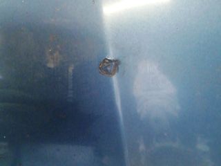 bontott JAGUAR X-TYPE Motorháztető