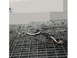 bontott JEEP COMPASS Turbócső