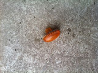 bontott JEEP GRAND CHEROKEE Sárvédő Irányjelző (Pozíciófüggetlen)