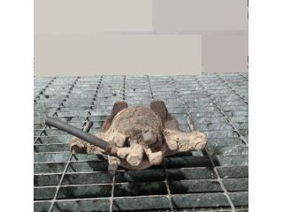 bontott JEEP PATRIOT Jobb első Fékkengyel