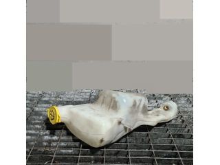 bontott JEEP PATRIOT Ablakmosó Tartály