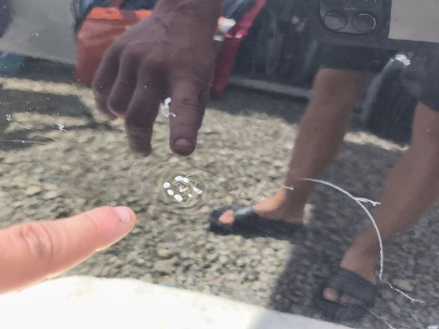 bontott JEEP RENEGADE Jobb hátsó Ajtó (Üres lemez)