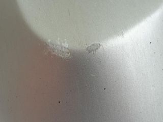 bontott KIA CARNIVAL Bal Visszapillantó Tükör (Elektromos)