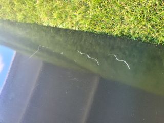 bontott KIA CEED Csomagtérajtó (Részeivel)