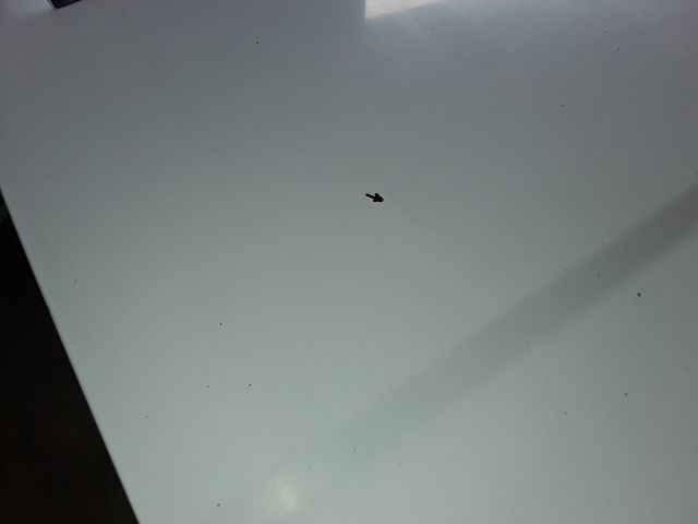 bontott KIA K2500 Bal hátsó Ajtó (Üres lemez)