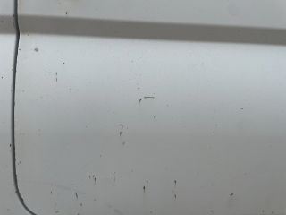 bontott KIA K2500 Jobb hátsó Ajtó (Üres lemez)