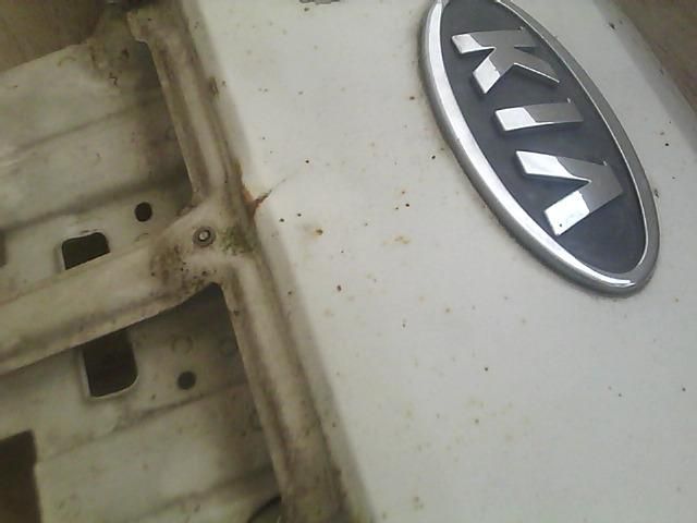 bontott KIA K2500 Motorháztető