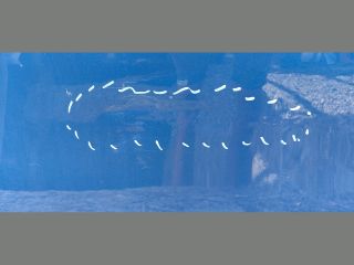 bontott KIA PROCEED Jobb első Ajtó (Üres lemez)