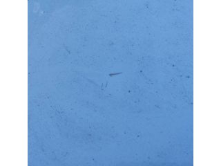 bontott KIA RIO Jobb hátsó Sárvédő