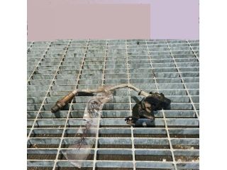 bontott KIA SPORTAGE Első Lambdaszonda