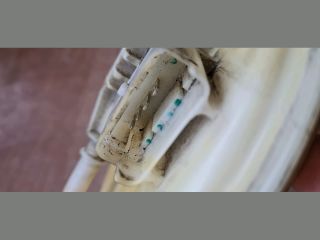 bontott LANCIA LYBRA Üzemanyag Szivattyú