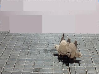 bontott LAND ROVER DISCOVERY Bal első Fékkengyel