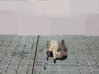 bontott LAND ROVER DISCOVERY Bal hátsó Fékkengyel