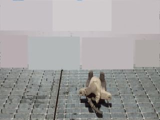 bontott LAND ROVER DISCOVERY Bal hátsó Fékkengyel