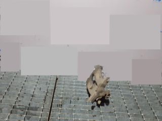 bontott LAND ROVER DISCOVERY Bal hátsó Fékkengyel